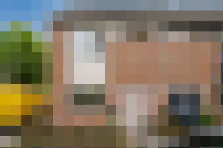Zeefvoorde 26 Spijkenisse thumbnail 8
