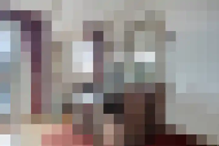 Zeegat 10 Hellevoetsluis thumbnail 10