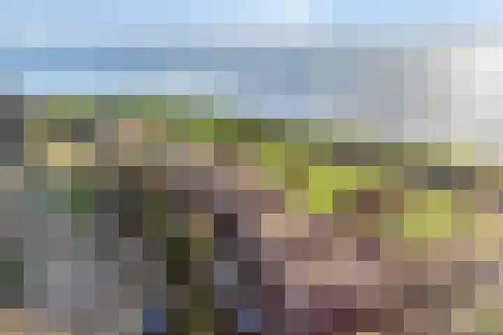 Zeegat 10 Hellevoetsluis thumbnail 26