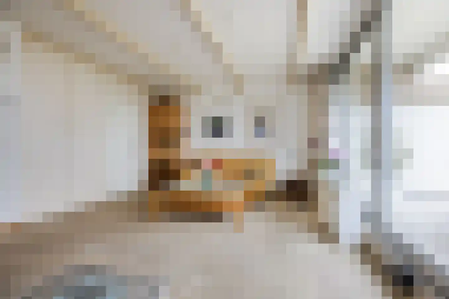 Zeegat 118 Hellevoetsluis thumbnail 6