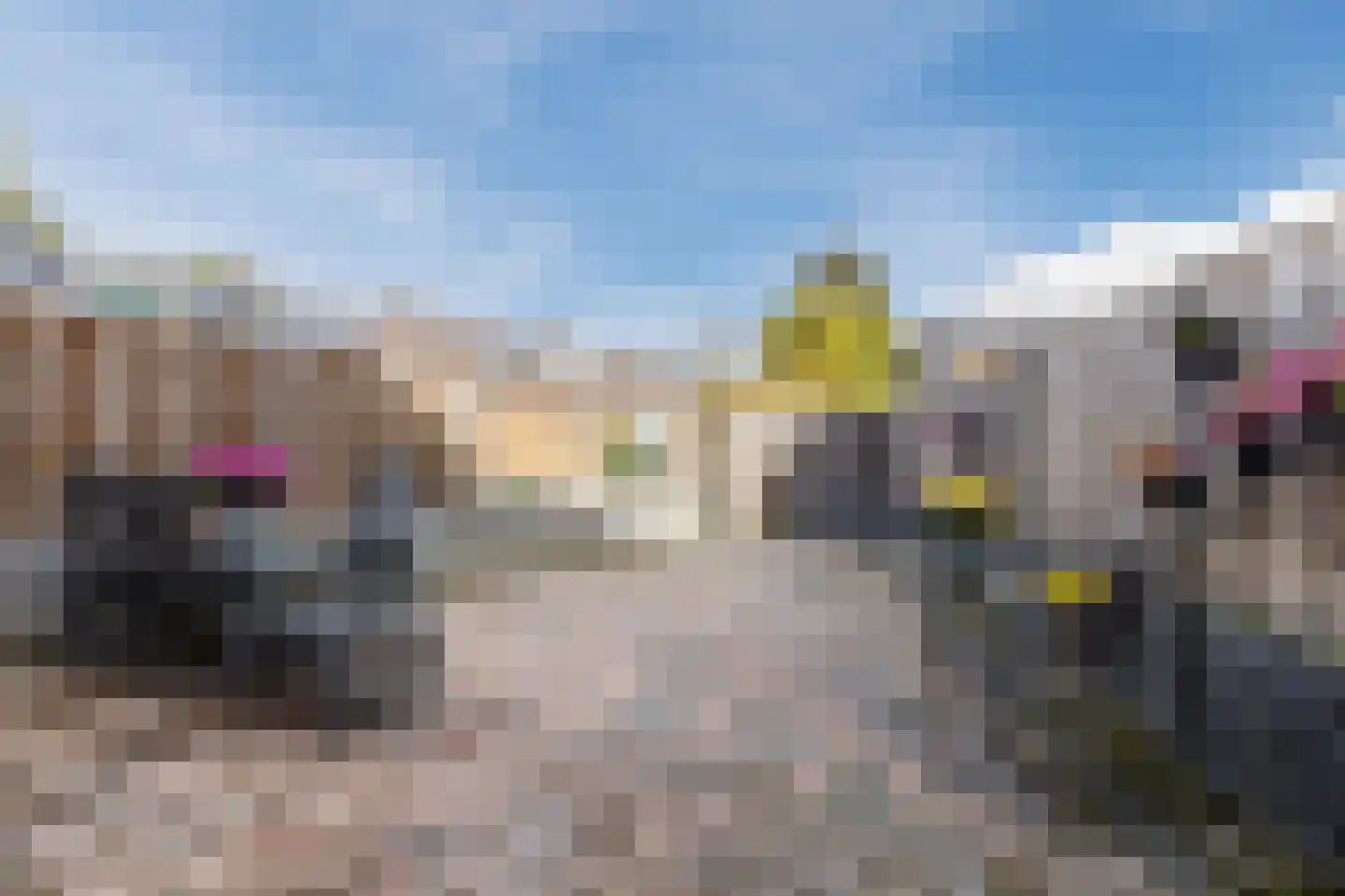 Zeegat 49 Hellevoetsluis thumbnail 23