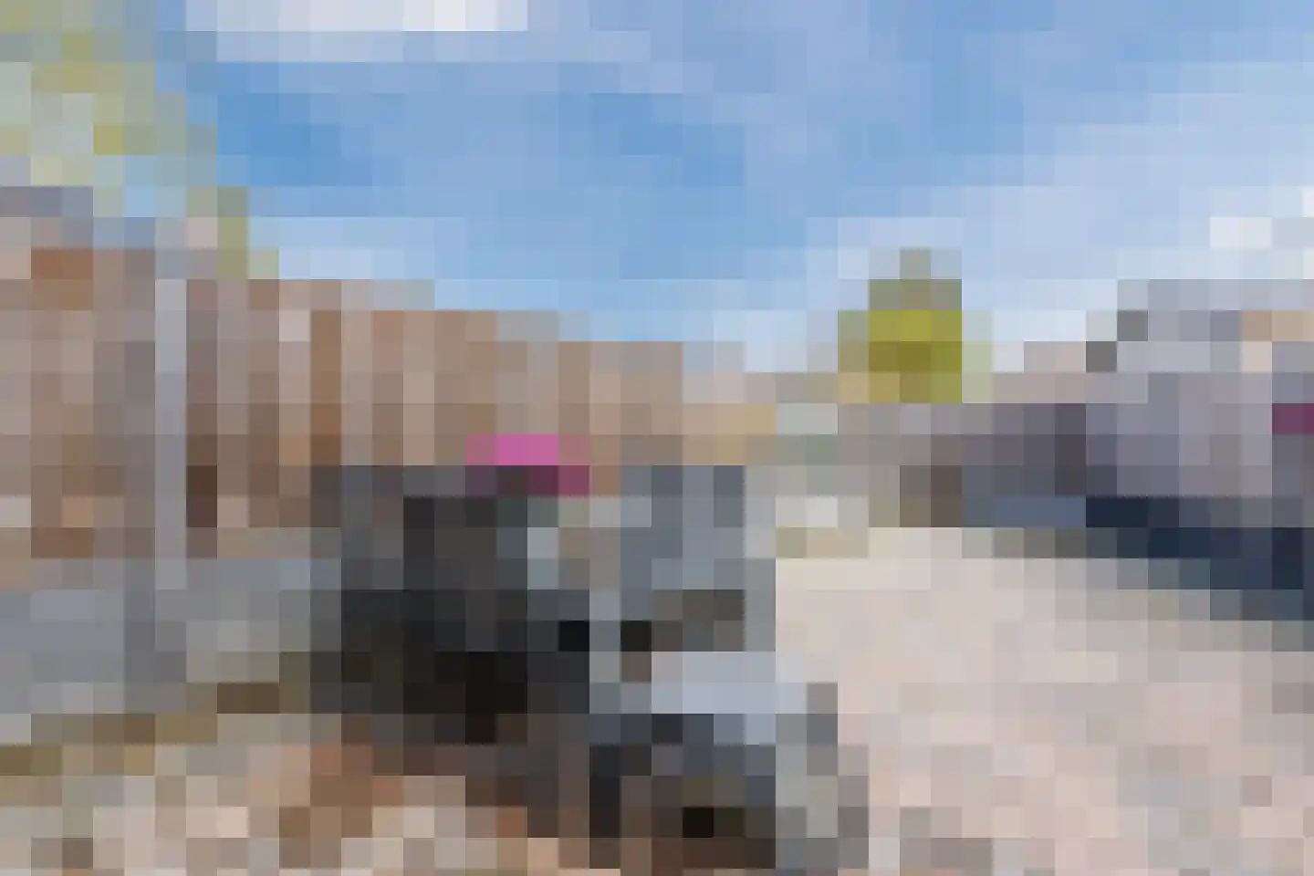 Zeegat 49 Hellevoetsluis thumbnail 24