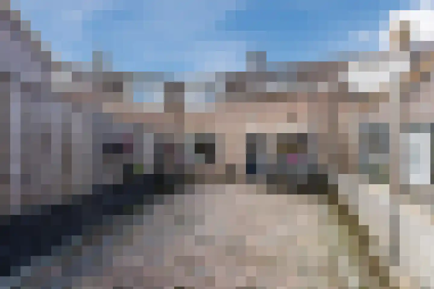 Zeegat 49 Hellevoetsluis thumbnail 26