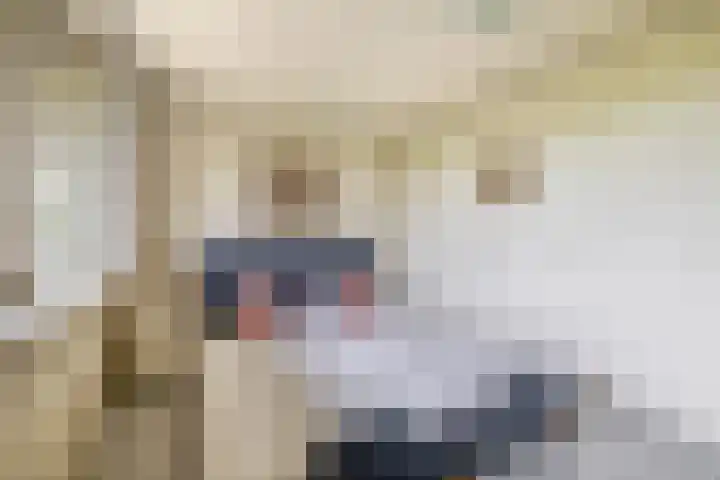 Zeegat 76 Hellevoetsluis thumbnail 34