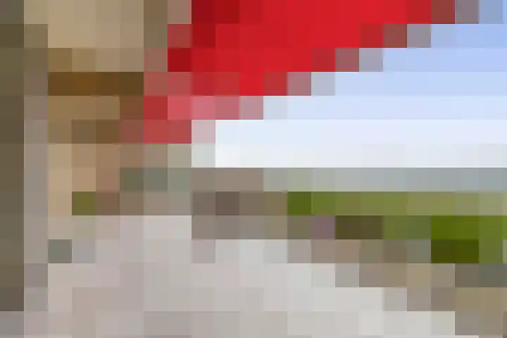 Zeegat 76 Hellevoetsluis thumbnail 4