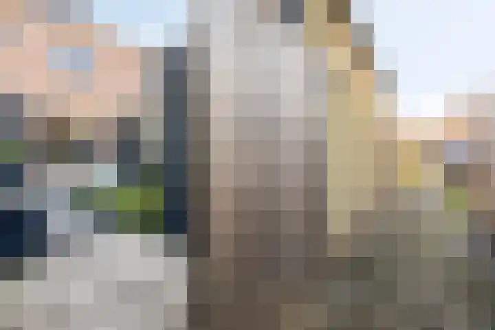 Zeegravensingel 19 IJsselmuiden thumbnail 41