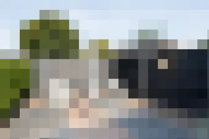 Zeegravensingel 6 IJsselmuiden thumbnail 39
