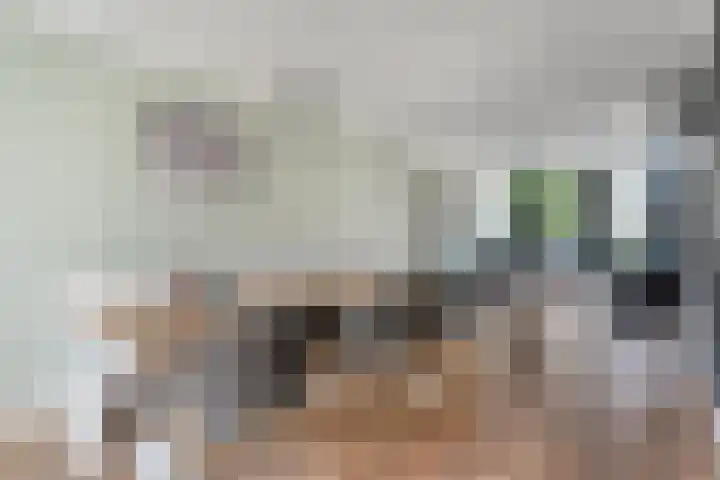Zeegravensingel 6 IJsselmuiden thumbnail 8