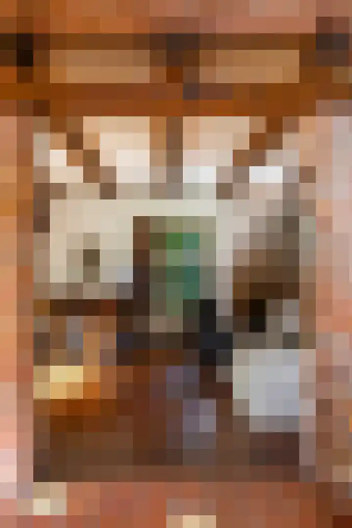 Zeegserweg 10 Tynaarlo thumbnail 11
