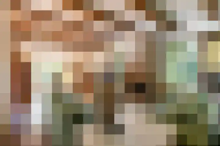 Zeegserweg 10 Tynaarlo thumbnail 14