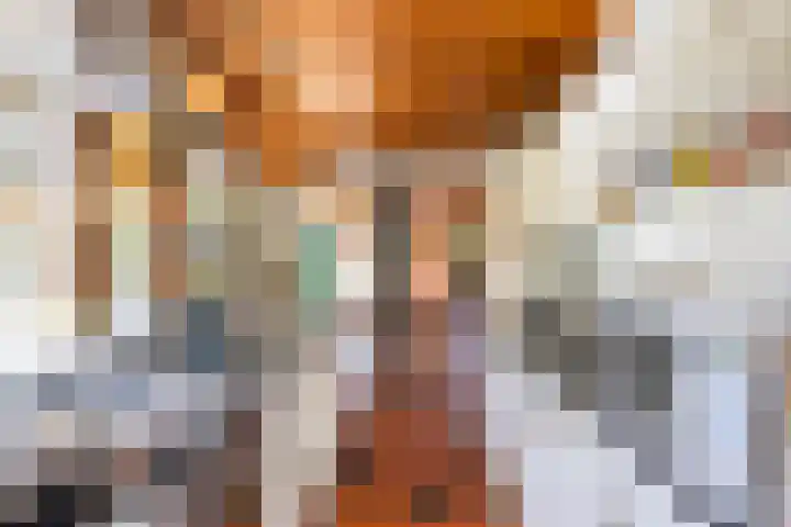 Zeegserweg 10 Tynaarlo thumbnail 21