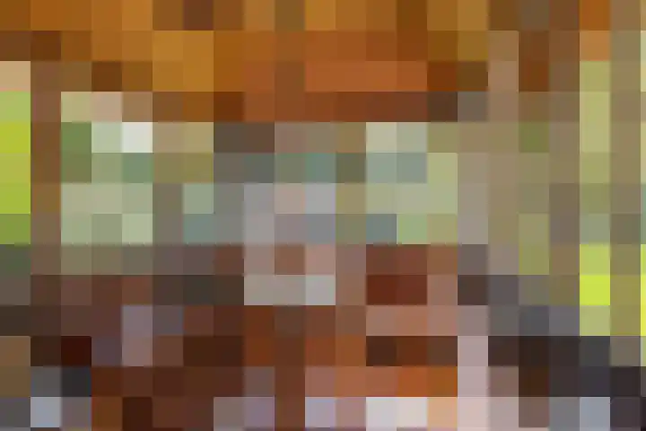 Zeegserweg 10 Tynaarlo thumbnail 23
