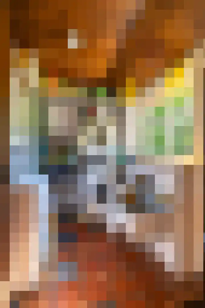 Zeegserweg 10 Tynaarlo thumbnail 25
