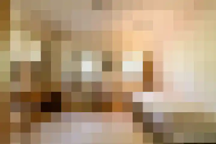 Zeegserweg 10 Tynaarlo thumbnail 28