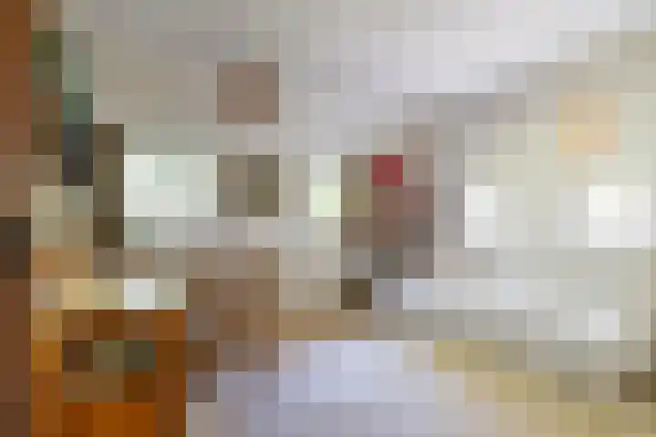 Zeegserweg 10 Tynaarlo thumbnail 30