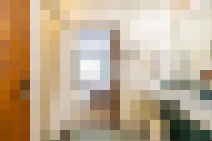 Zeegserweg 10 Tynaarlo thumbnail 35