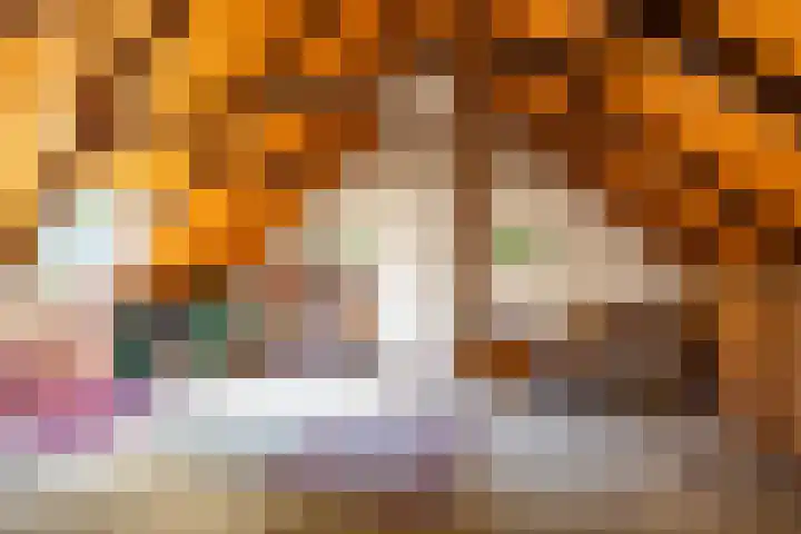 Zeegserweg 10 Tynaarlo thumbnail 38