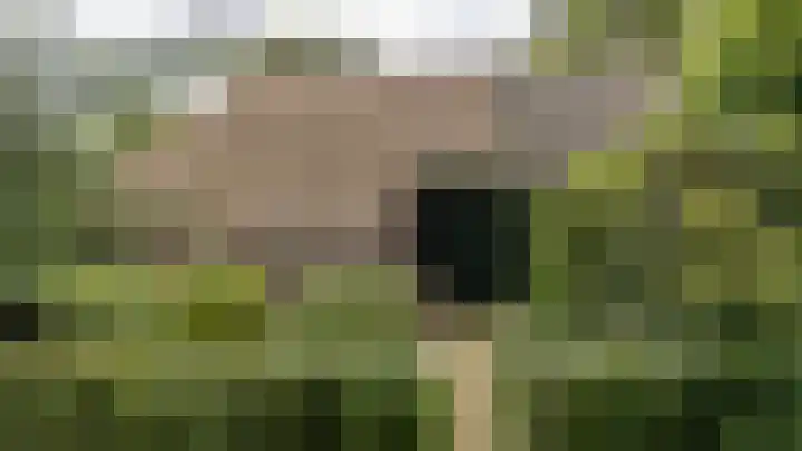 Zeegserweg 10 Tynaarlo thumbnail 4