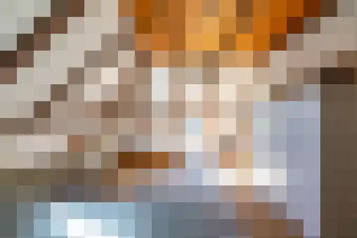 Zeegserweg 10 Tynaarlo thumbnail 42
