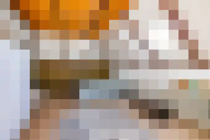 Zeegserweg 10 Tynaarlo thumbnail 43