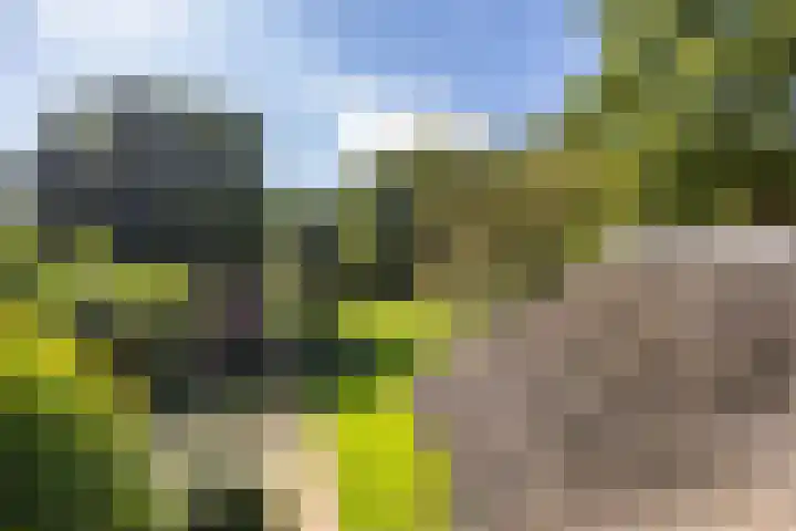 Zeegserweg 10 Tynaarlo thumbnail 44