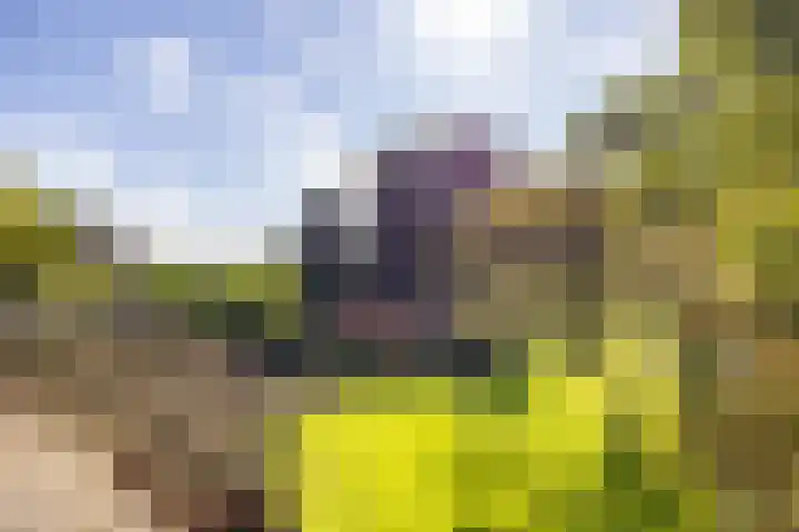 Zeegserweg 10 Tynaarlo thumbnail 47
