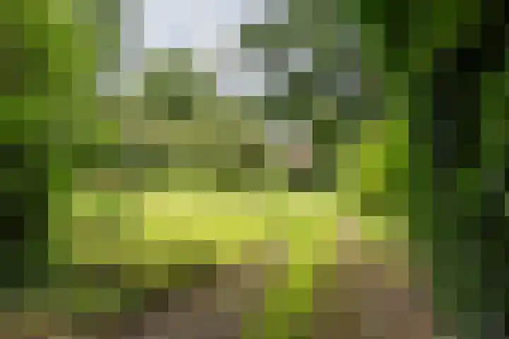 Zeegserweg 10 Tynaarlo thumbnail 48