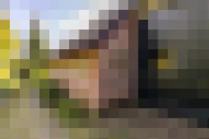 Zeegserweg 10 Tynaarlo thumbnail 5