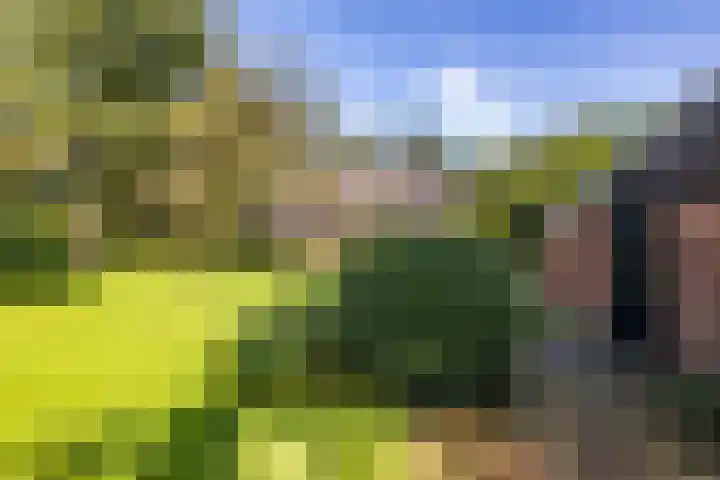 Zeegserweg 10 Tynaarlo thumbnail 50