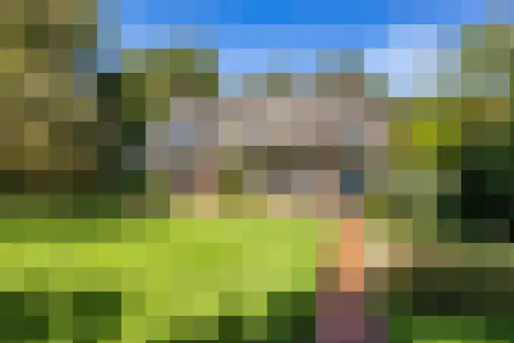 Zeegserweg 10 Tynaarlo thumbnail 51
