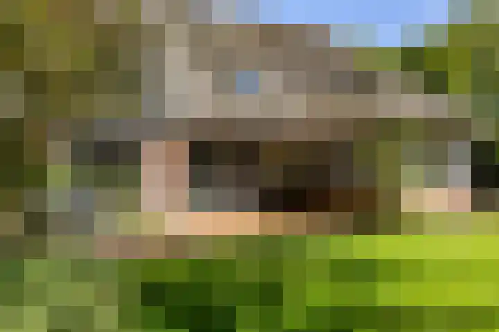 Zeegserweg 10 Tynaarlo thumbnail 52
