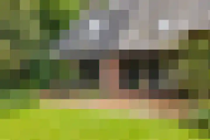 Zeegserweg 10 Tynaarlo thumbnail 53