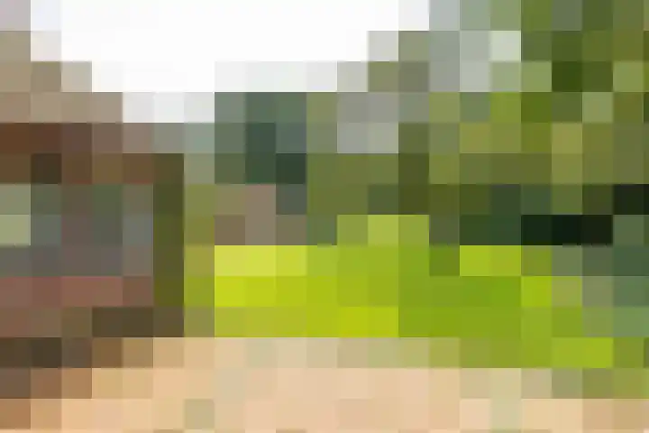 Zeegserweg 10 Tynaarlo thumbnail 54
