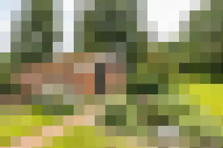 Zeegserweg 10 Tynaarlo thumbnail 55