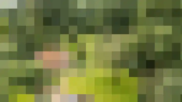 Zeegserweg 10 Tynaarlo thumbnail 56