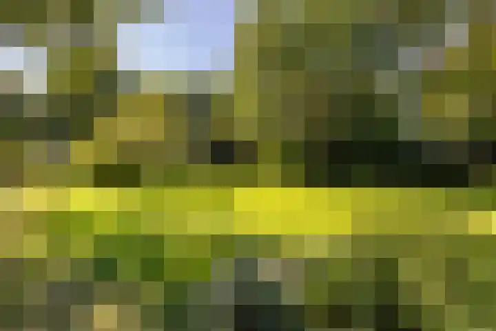 Zeegserweg 10 Tynaarlo thumbnail 57