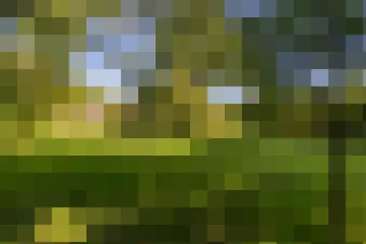 Zeegserweg 10 Tynaarlo thumbnail 58