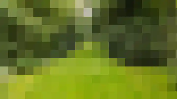 Zeegserweg 10 Tynaarlo thumbnail 59