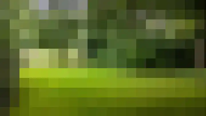 Zeegserweg 10 Tynaarlo thumbnail 60