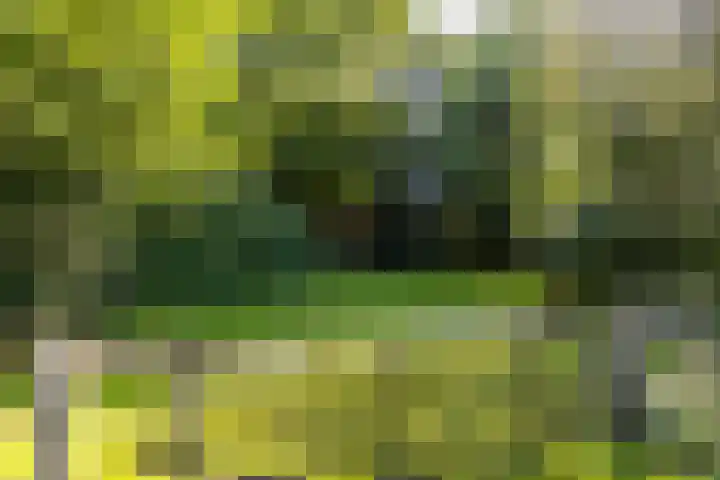 Zeegserweg 10 Tynaarlo thumbnail 61