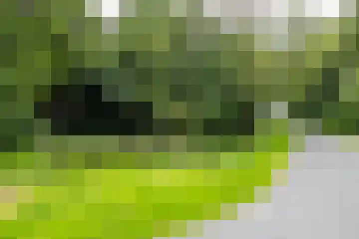 Zeegserweg 10 Tynaarlo thumbnail 62