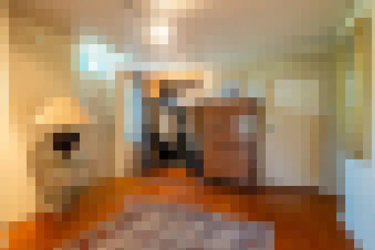 Zeegserweg 2 Tynaarlo thumbnail 11