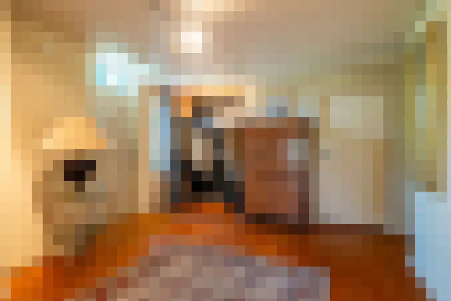 Zeegserweg 2 Tynaarlo thumbnail 12