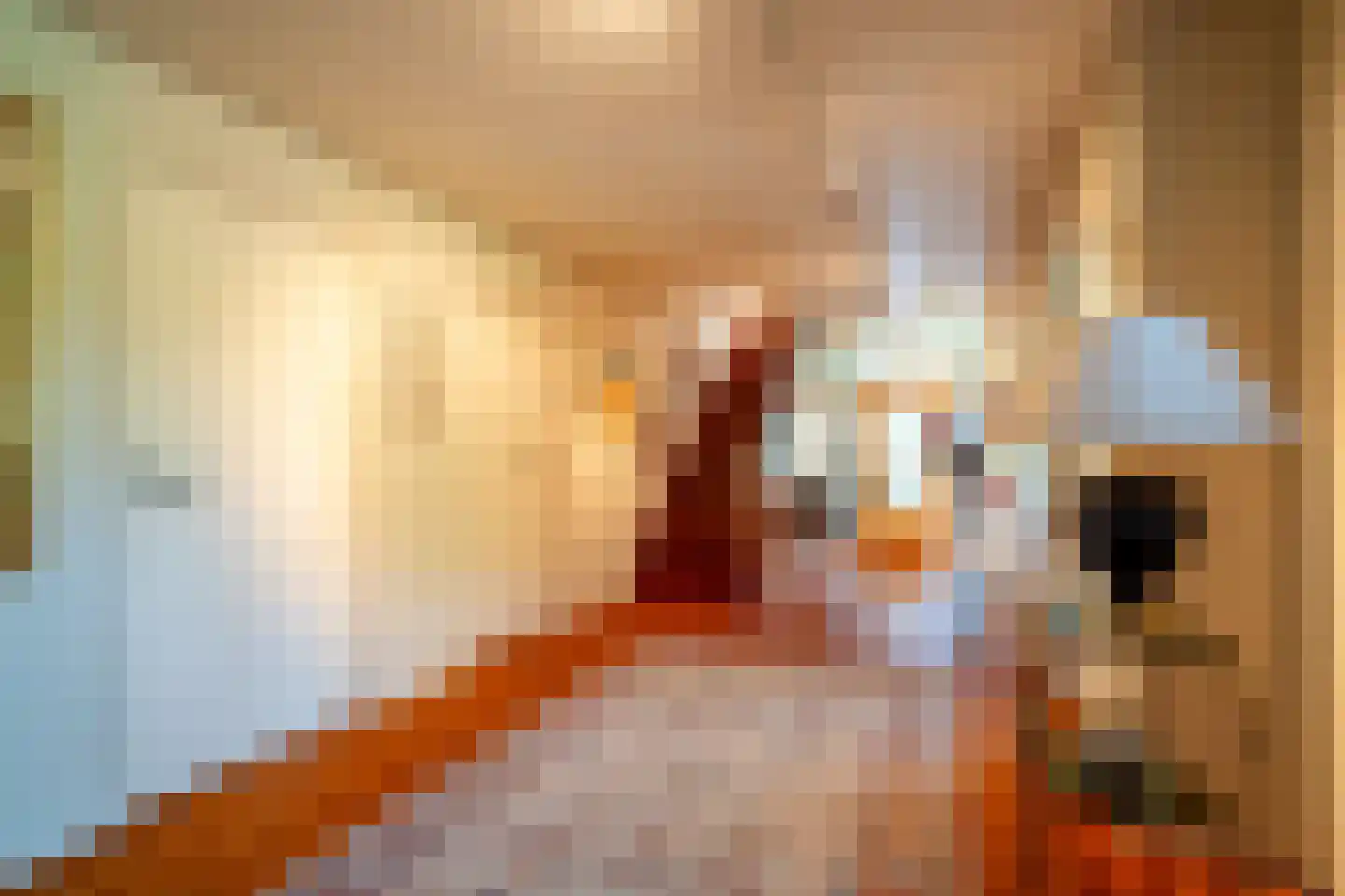 Zeegserweg 2 Tynaarlo thumbnail 13