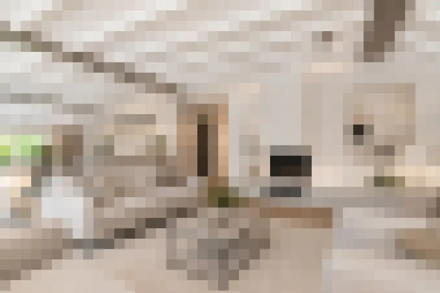 Zeegserweg 2 Tynaarlo thumbnail 15