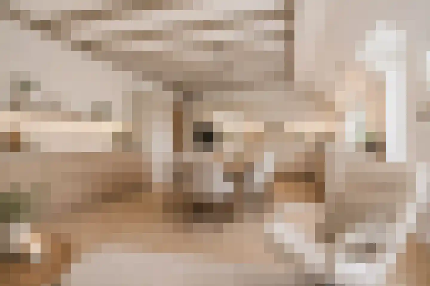 Zeegserweg 2 Tynaarlo thumbnail 27
