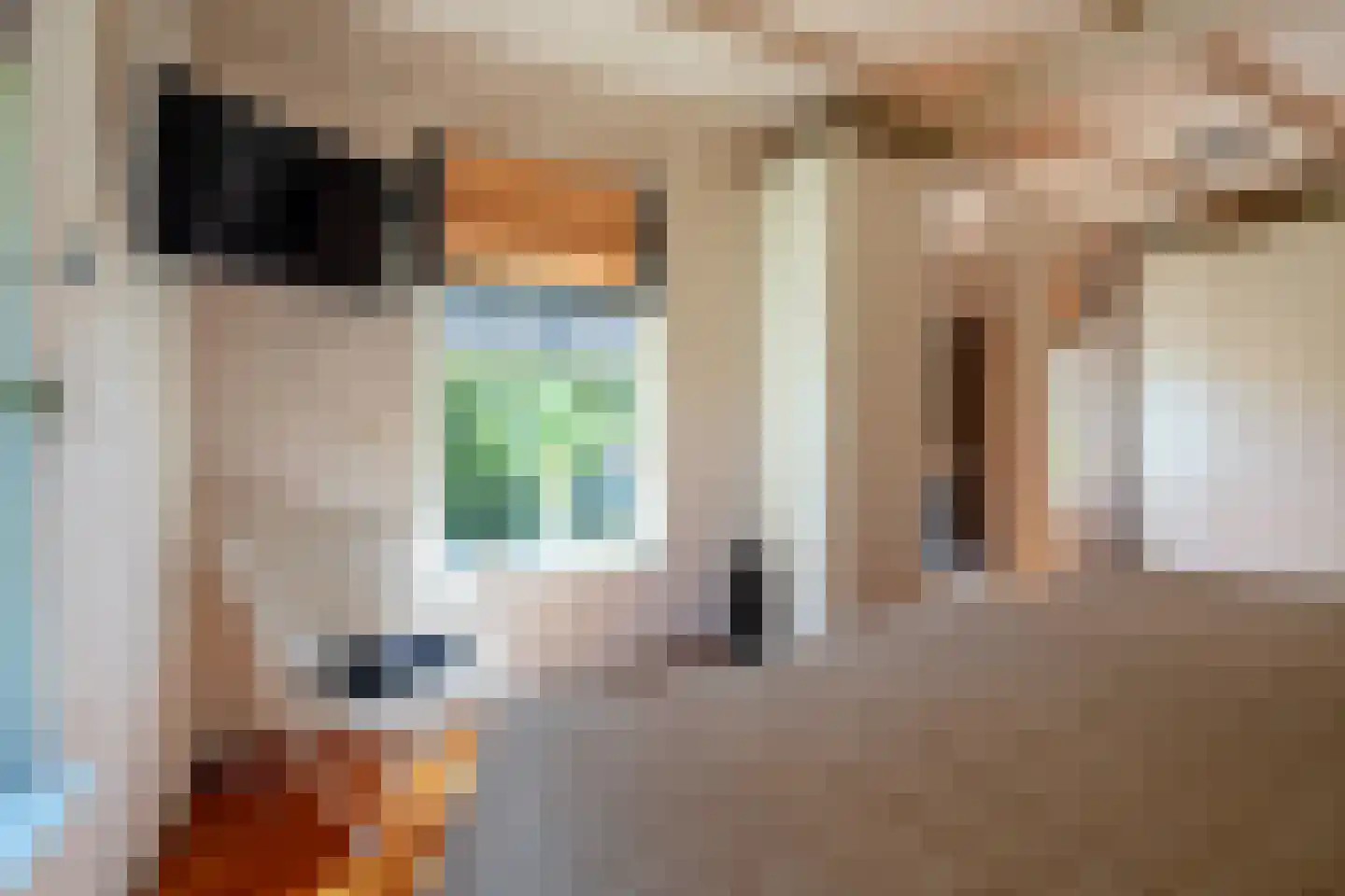Zeegserweg 2 Tynaarlo thumbnail 35