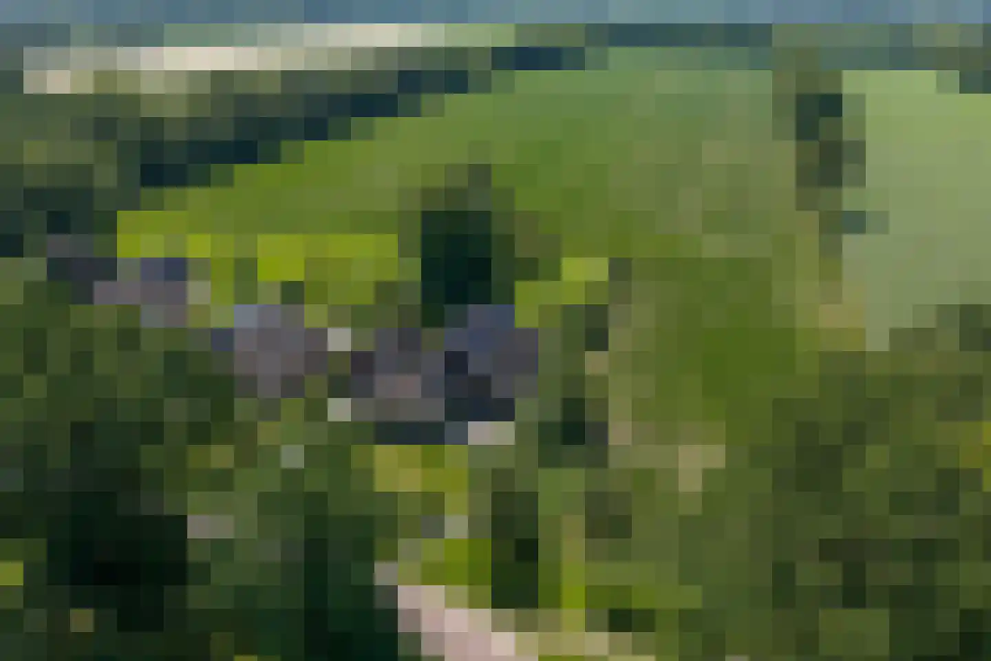 Zeegserweg 2 Tynaarlo thumbnail 4