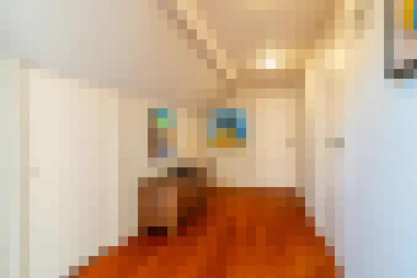 Zeegserweg 2 Tynaarlo thumbnail 46