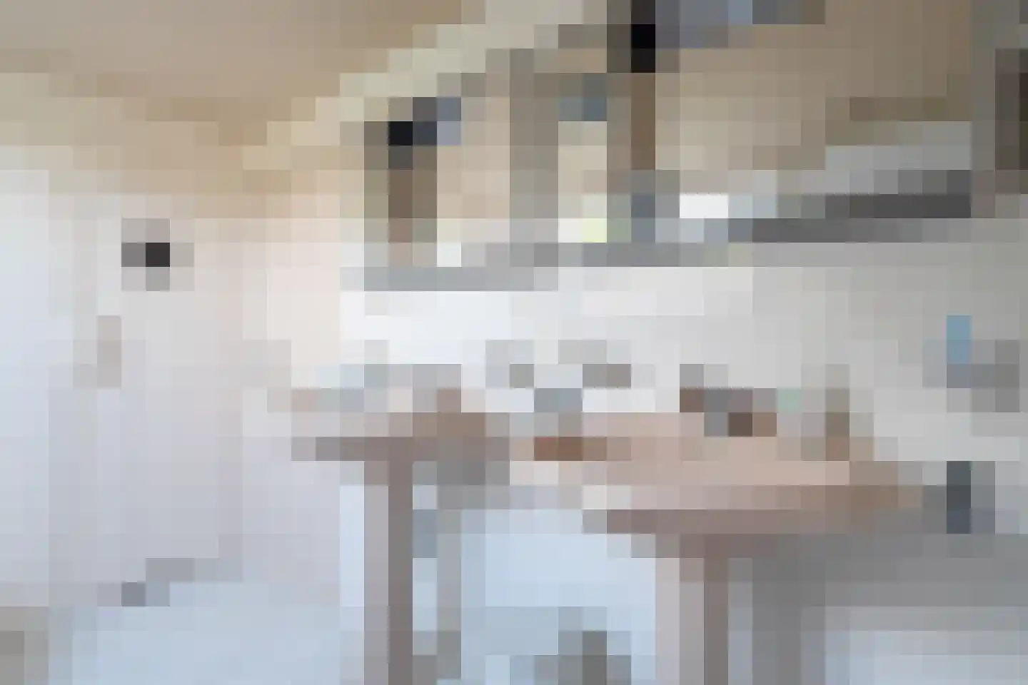 Zeegserweg 2 Tynaarlo thumbnail 51